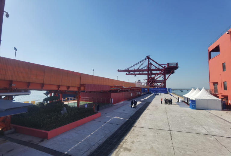 图为山东港口青岛港第二座40万吨矿石码头。新华社记者 王凯 摄