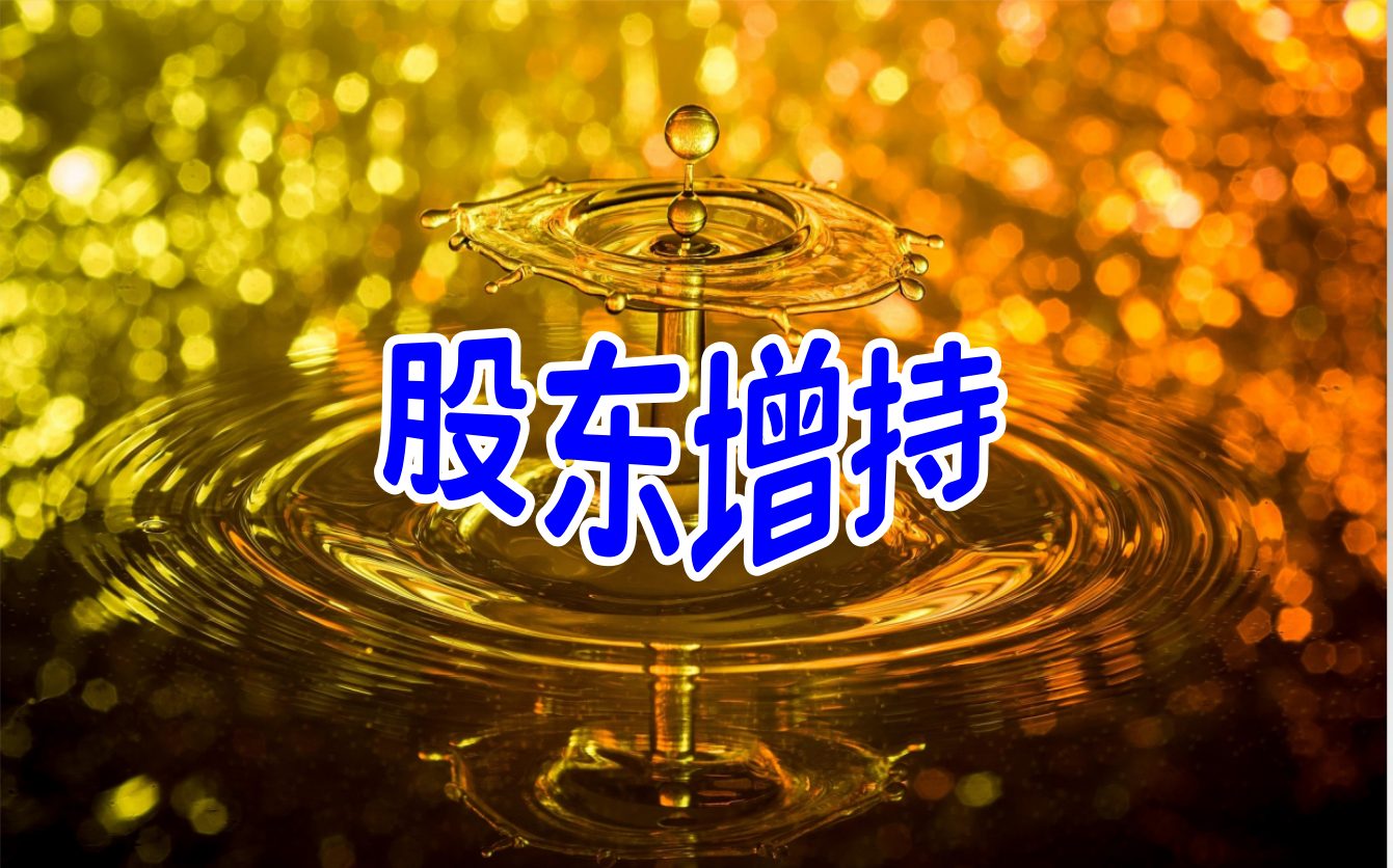 皇庭国际：股东皇庭国际集团增持约382万股B股
