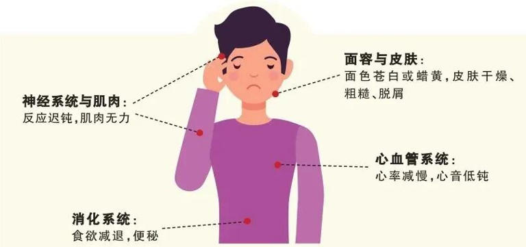 畏寒、乏力、情绪低落……当身体出现这些信号，警惕这种疾病