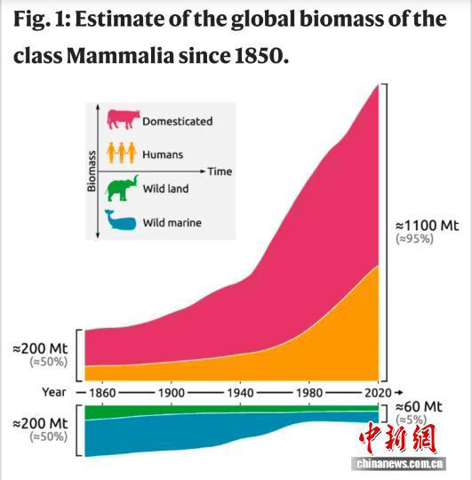 生物量迁移最新研究：人类超所有陆地动物总和 野生哺乳动物锐减