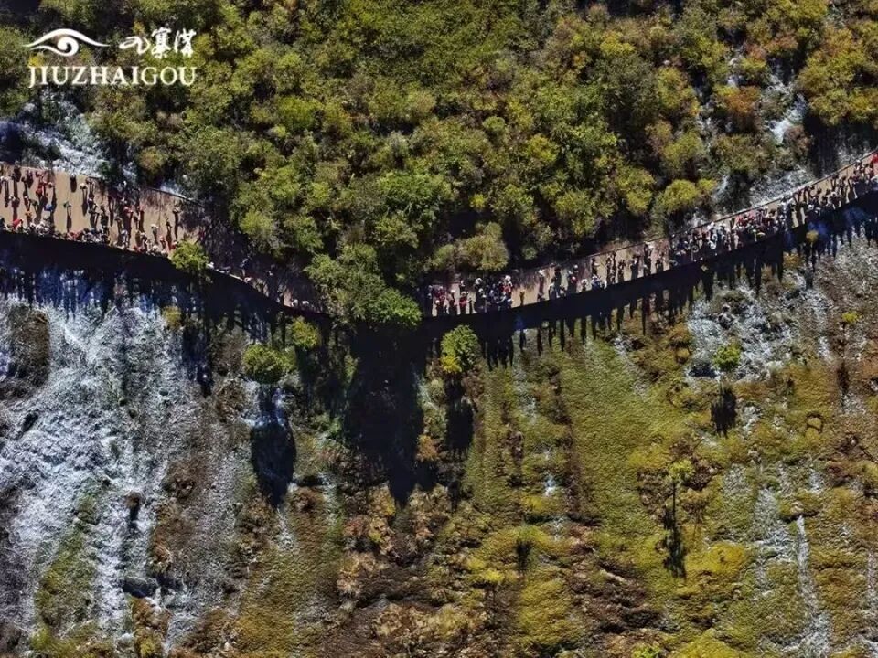 网友提议九寨沟周末及节假日时段暂停中老年游客免票政策，景区：现阶段无法调整