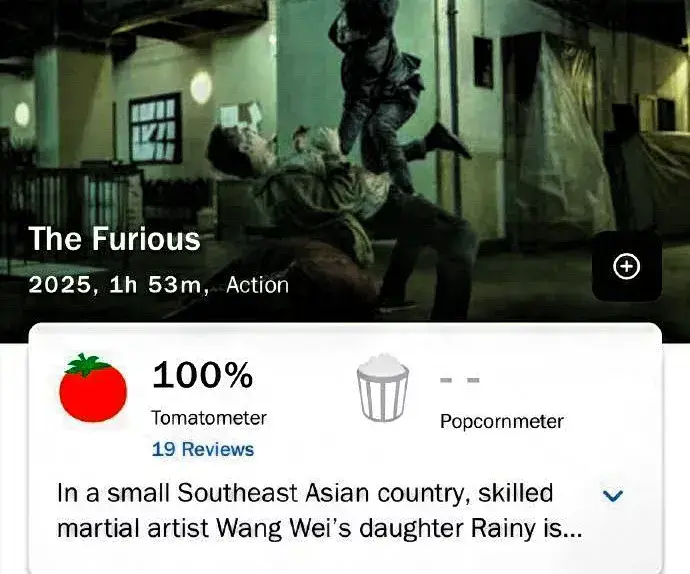 谢苗走向国际，新片《火遮眼》全球发行，能否接棒华语功夫电影？