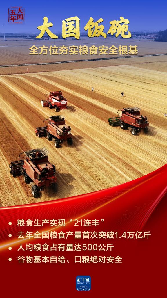 大国五年｜大国饭碗，吃得好端得牢