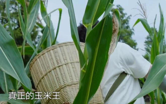 没想到，“好吃懒做”的陈赫一出场，就治好了《向往8》的尴尬病