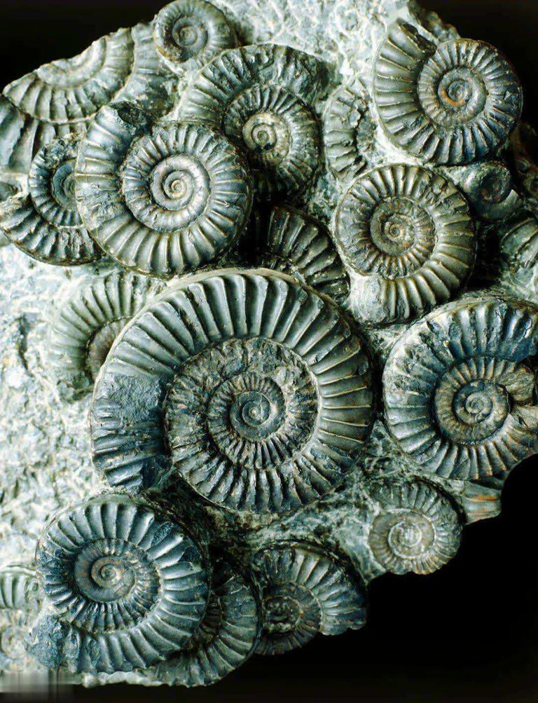 科學(xué)史上幾大謊言全是假的，至今仍有人深信不疑