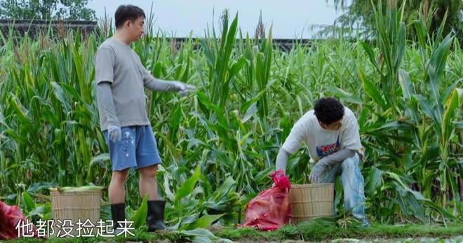 没想到，“好吃懒做”的陈赫一出场，就治好了《向往8》的尴尬病