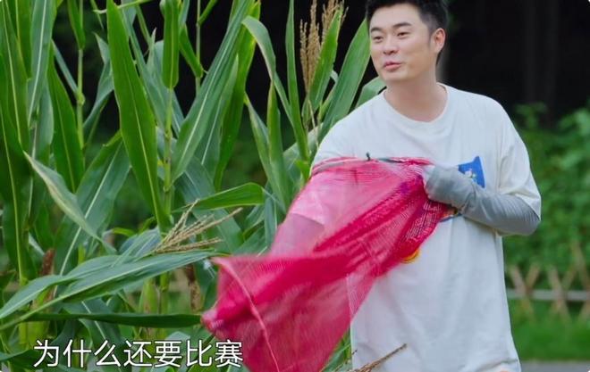 没想到，“好吃懒做”的陈赫一出场，就治好了《向往8》的尴尬病