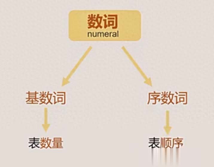 小学英语语法：基数词可表时间、年龄、数量、电话号码等