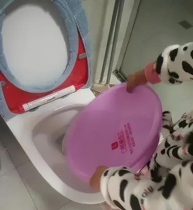 为什么不能“倒水冲厕”？很多人不懂，多亏20年维修师傅提醒！