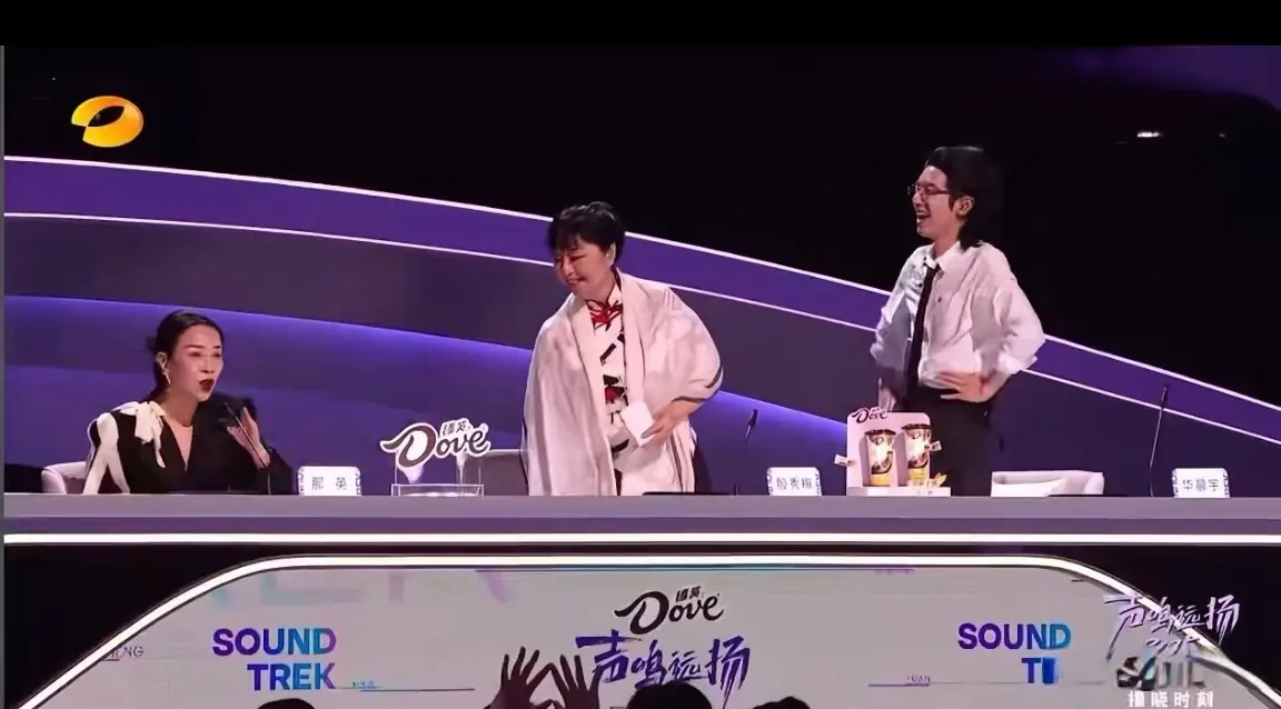 那英在《声鸣远扬》直播中被关麦