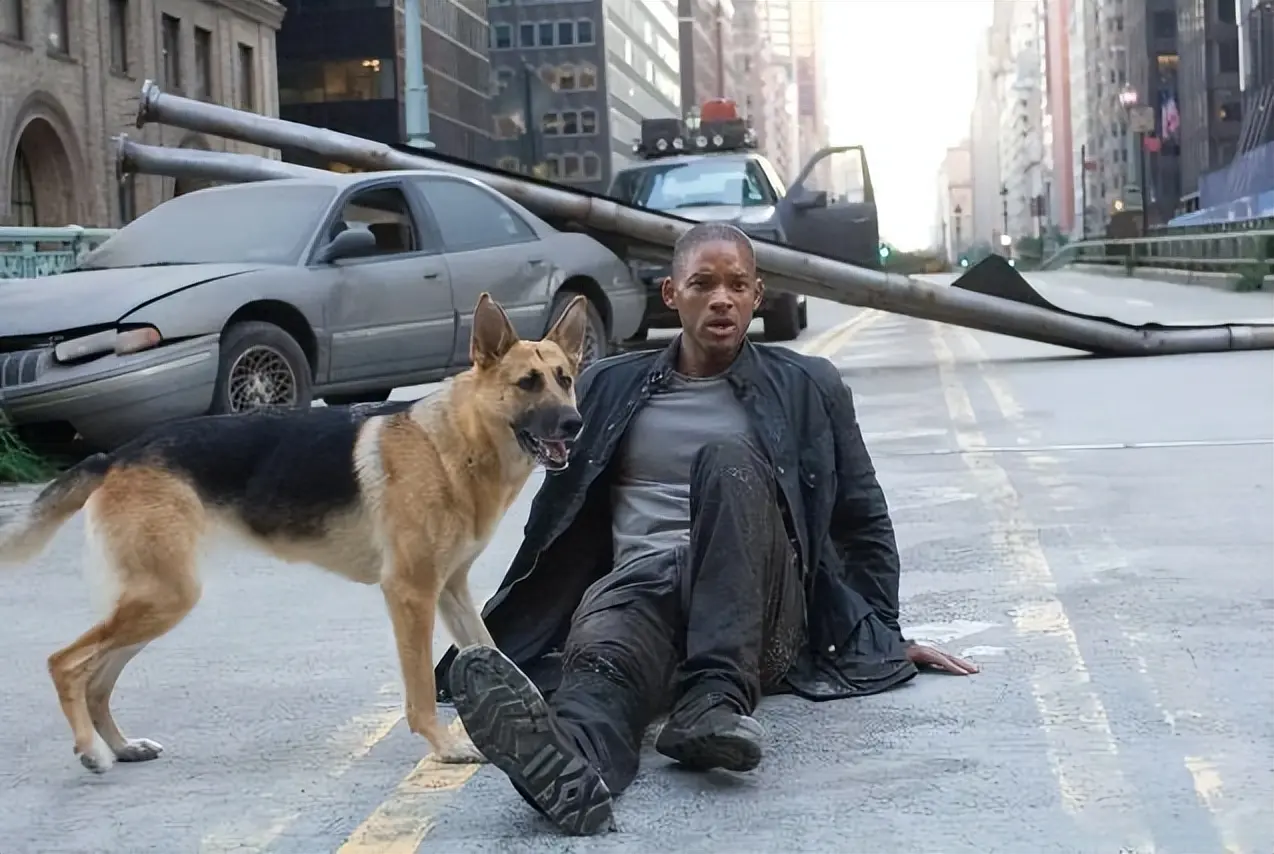 主角一个人便撑起整部电影，这6部神片拍的真是太绝了