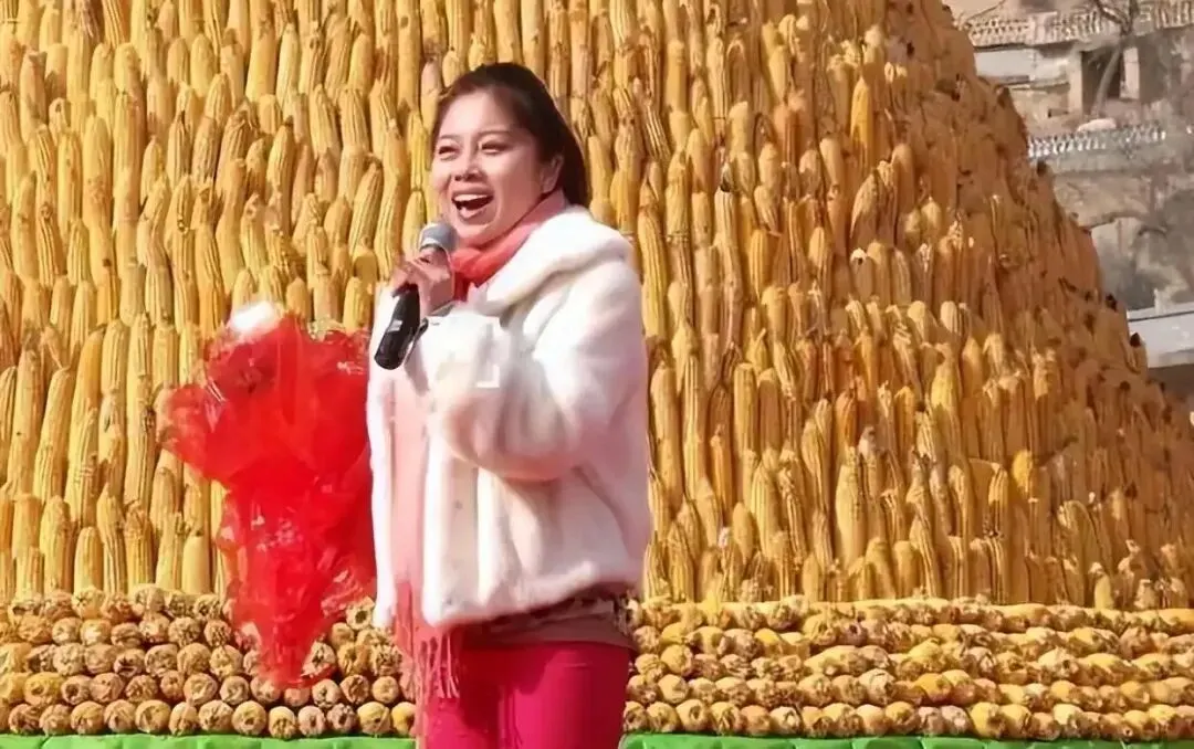 倾家荡产120万上星光大道，惨被淘汰后，负债40万的她如今怎样了