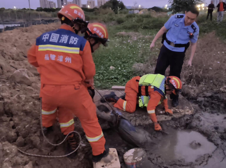 挣扎近20小时，他耗尽力气趴在泥里......