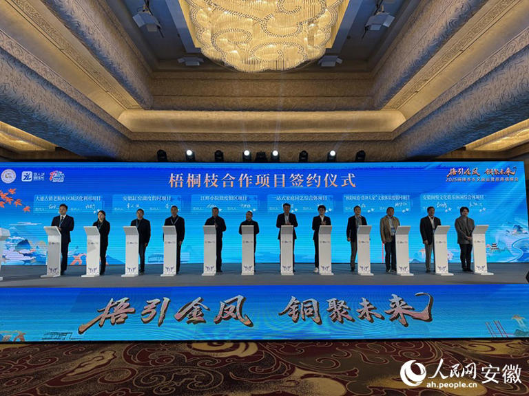 梧桐枝合作项目签约仪式。人民网记者 胡雨松摄