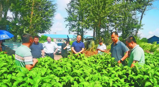 镜头里的“十四五”·高校｜东北农业大学把论文“写”在龙江大地上