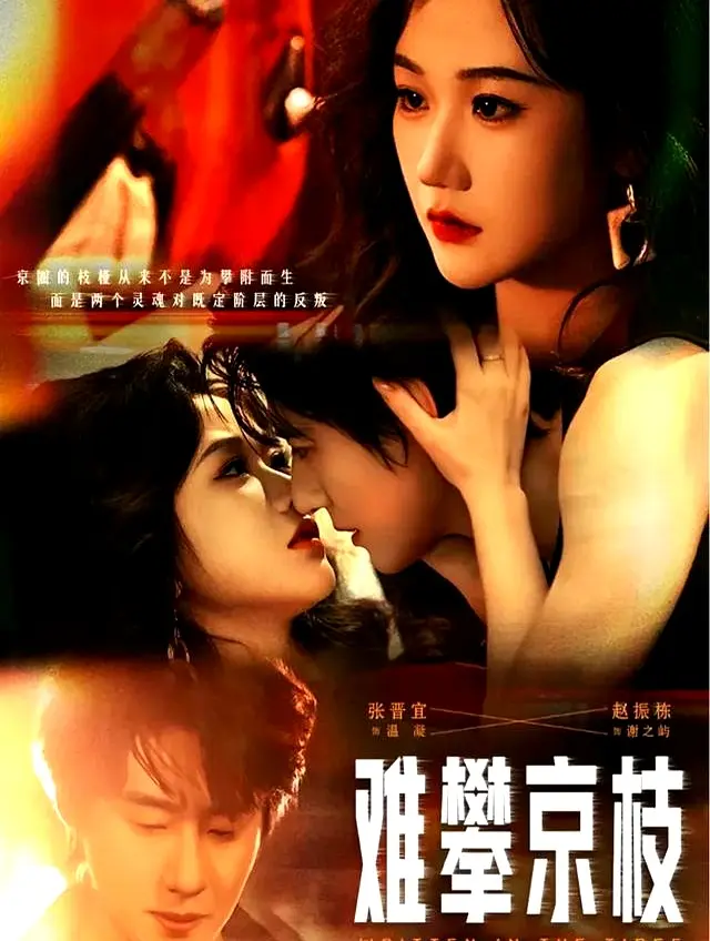 赵振栋张晋宜新剧爆款来袭 预约量破30万，三搭上演港风甜蜜之恋