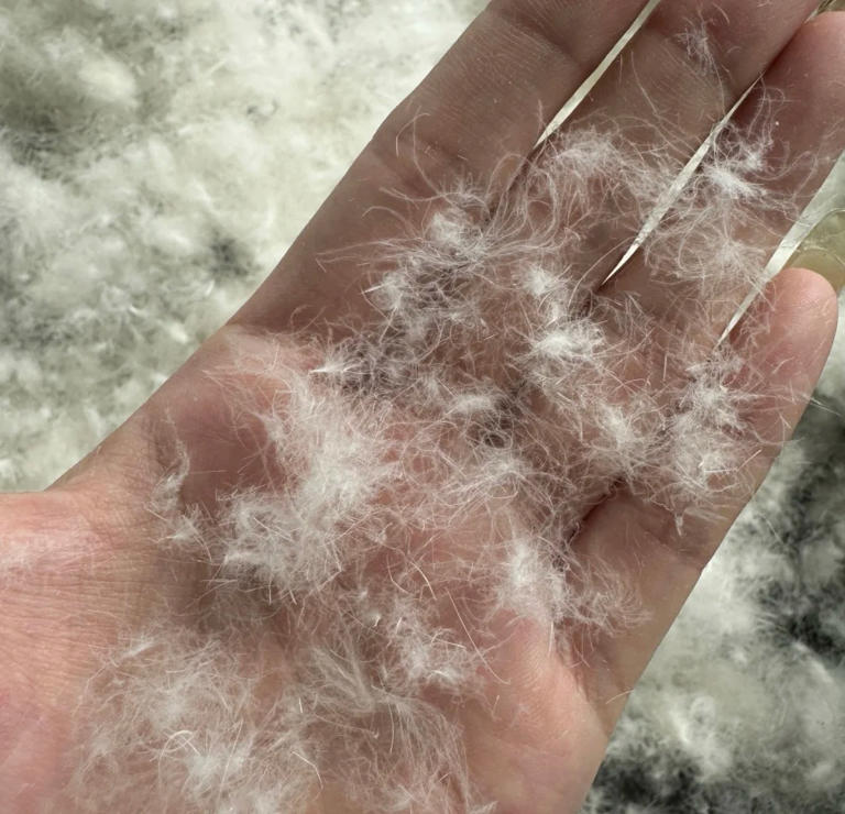 提醒大家：不管啥牌子，“这7种”羽绒服不要买，别把垃圾穿身上