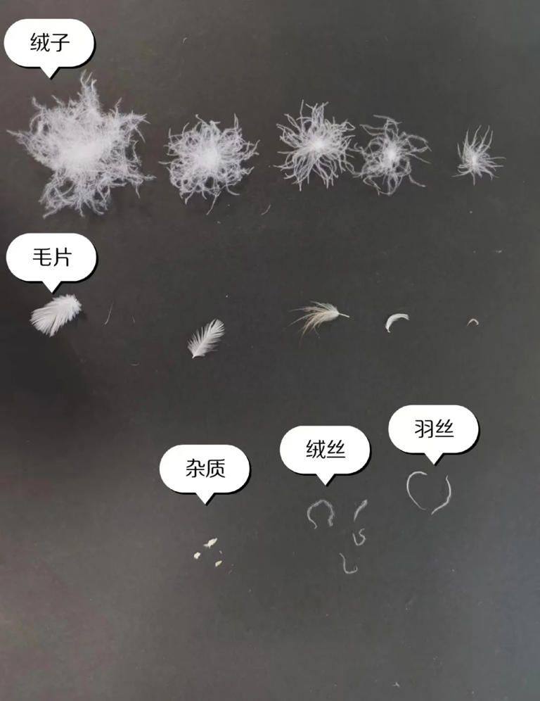 提醒大家：不管啥牌子，“这7种”羽绒服不要买，别把垃圾穿身上