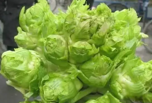 一通便，二降火，三润肤，四强免疫，入冬使劲吃，3种做法最好吃