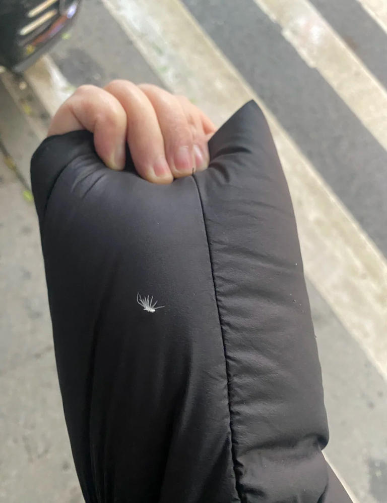 提醒大家：不管啥牌子，“这7种”羽绒服不要买，别把垃圾穿身上