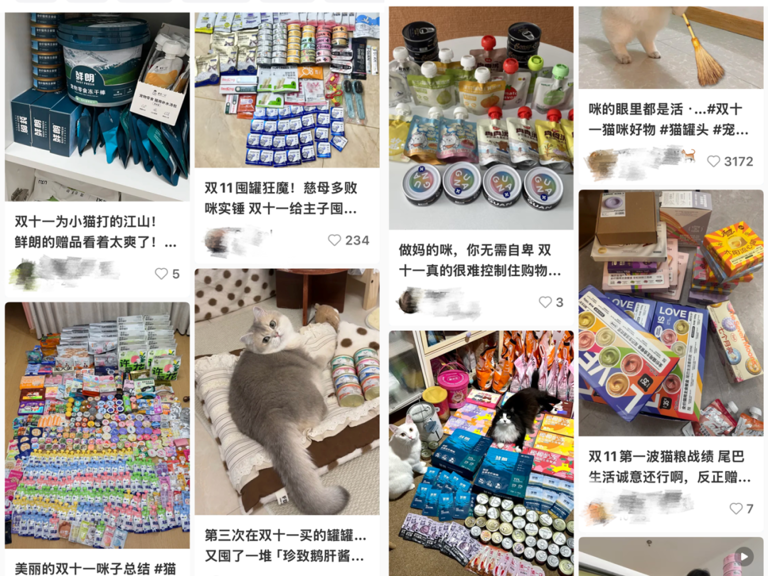 3000亿猫狗大市场，赵露思、陈冠希纷纷加入