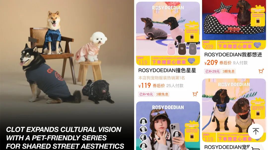 3000亿猫狗大市场，赵露思、陈冠希纷纷加入