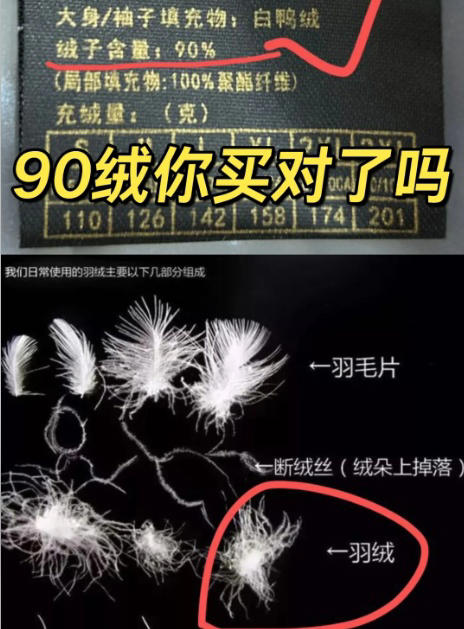 提醒大家：不管啥牌子，“这7种”羽绒服不要买，别把垃圾穿身上