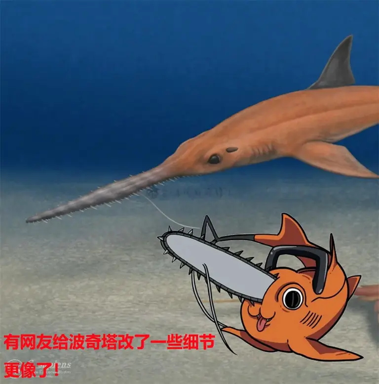 远古锯鲨新物种被命名为《电锯人》波奇塔，网友：太酷了