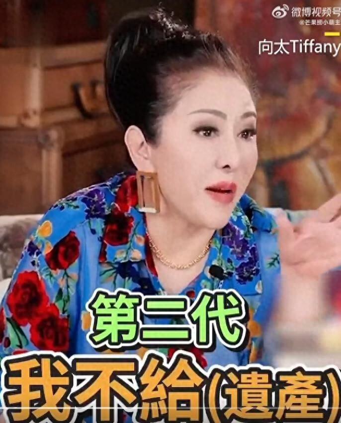 向太陈岚自曝想改遗嘱，将家族资产直接留给第三代孙辈