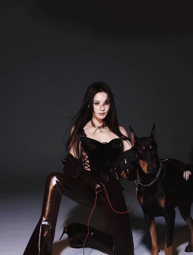 彭小苒皮衣造型凸显完美身材 与杜宾犬同框张力十足