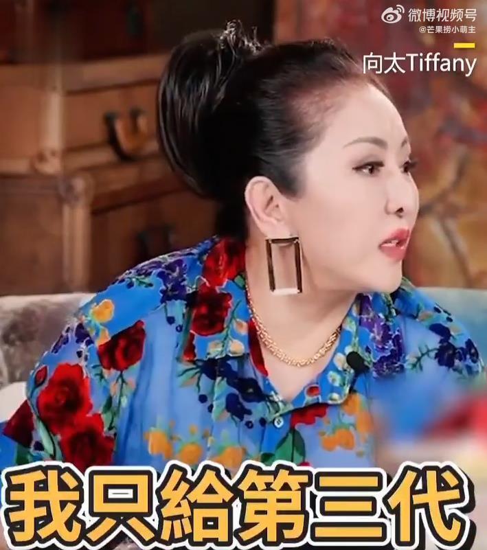 向太陈岚自曝想改遗嘱，将家族资产直接留给第三代孙辈