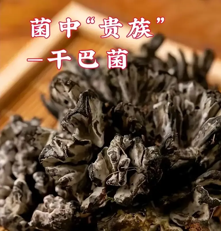 全球最贵的十大顶级山珍，中国独占4席！你吃过几种？