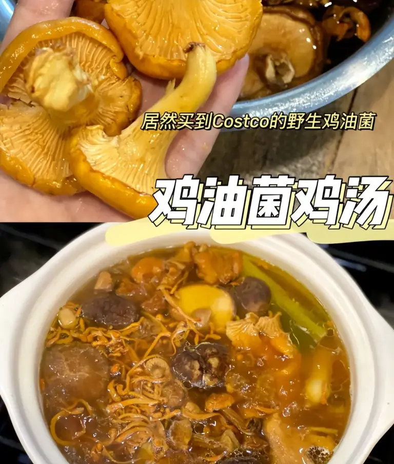 全球最贵的十大顶级山珍，中国独占4席！你吃过几种？