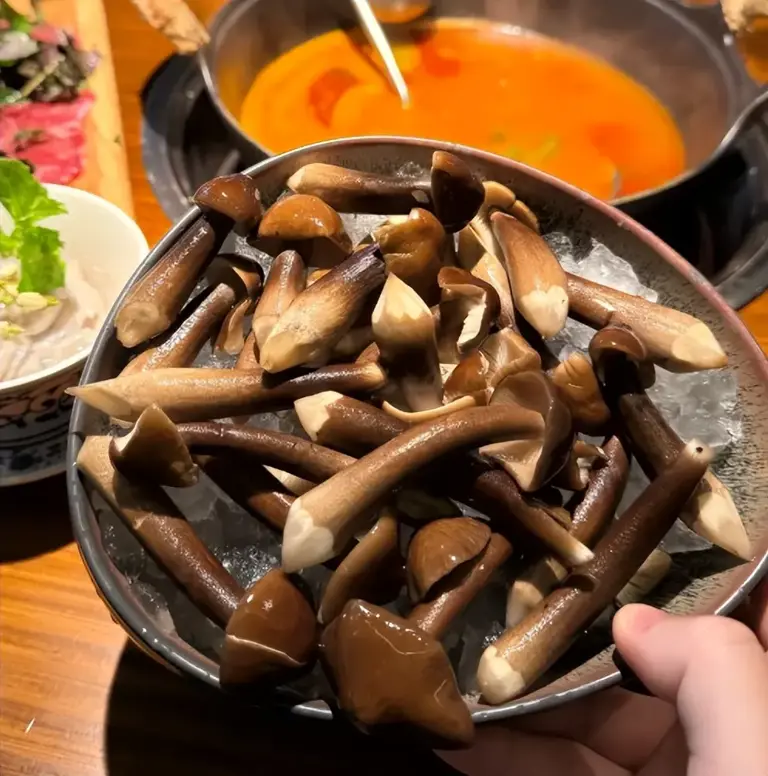 全球最贵的十大顶级山珍，中国独占4席！你吃过几种？