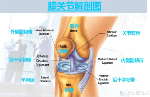 切勿盲目混用护膝，一文告诉你如何选择？