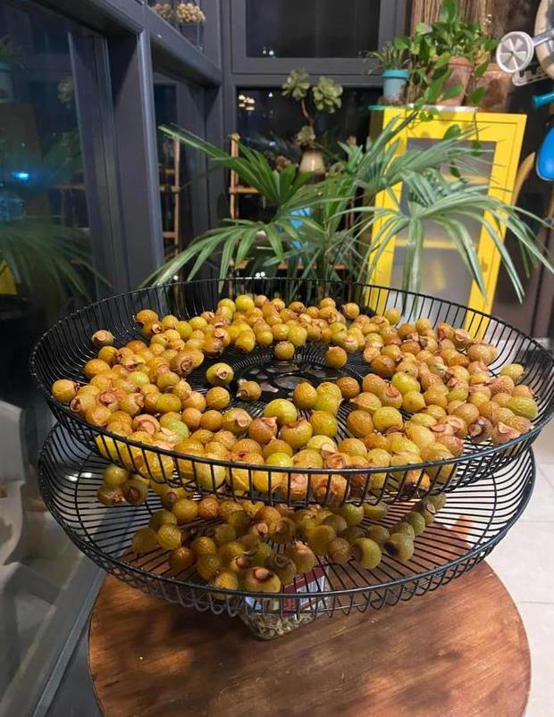 第一次感受到“风扇”的杀伤力，以为只能吹风，没想到还有这妙用