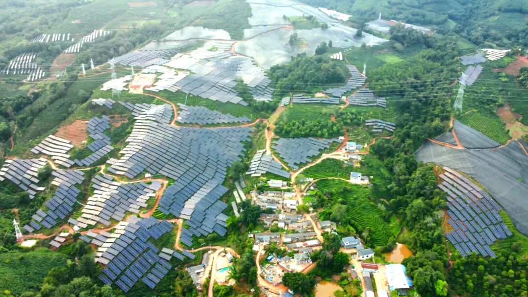 在太阳能板下种茶，云南首个“茶光互补”光伏项目并网发电