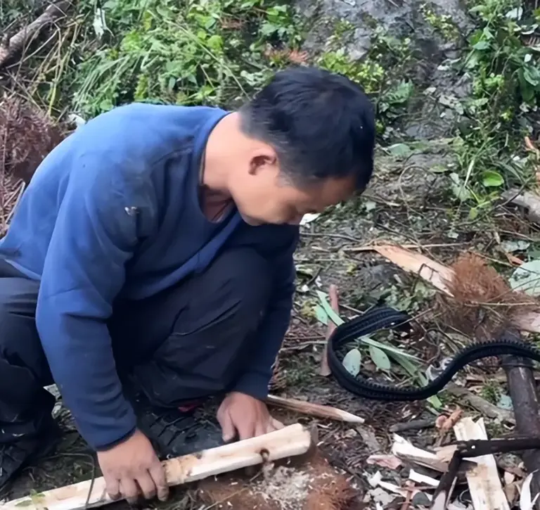荒野求生决赛首日，林北挖到何首乌，刀疤哥生火成功，老中医淘汰