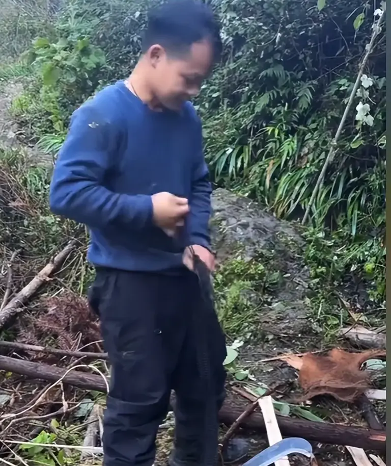 荒野求生决赛首日，林北挖到何首乌，刀疤哥生火成功，老中医淘汰