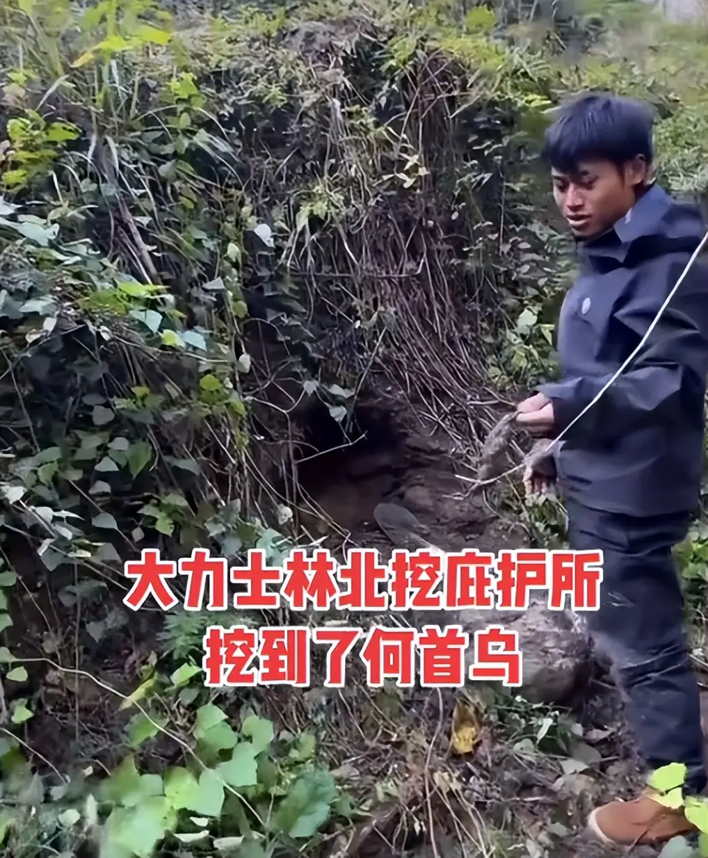 荒野求生决赛首日，林北挖到何首乌，刀疤哥生火成功，老中医淘汰