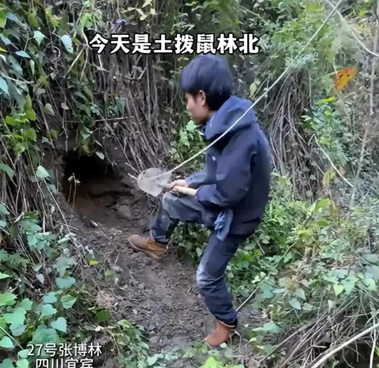 荒野求生决赛首日，林北挖到何首乌，刀疤哥生火成功，老中医淘汰