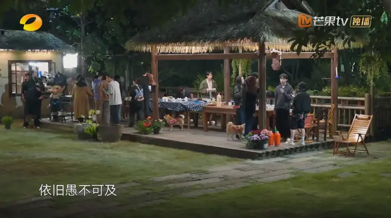 彭昱畅和张子枫的“格格不入”，让《向往的生活》彻底被打脸