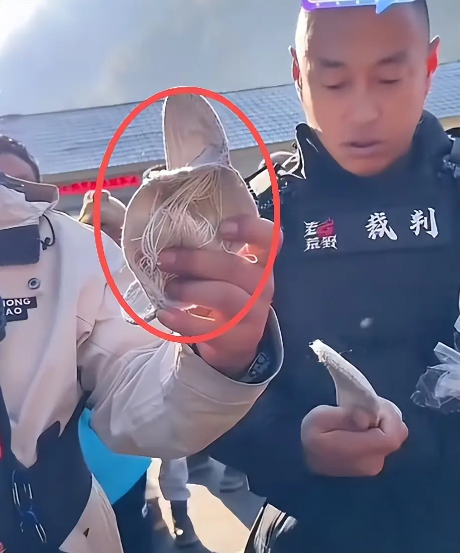 荒野求生决赛首日，林北挖到何首乌，刀疤哥生火成功，老中医淘汰