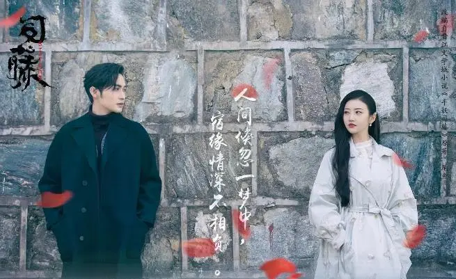 被央视点赞表扬过的6部高质量电视剧，你觉得哪部最精彩？