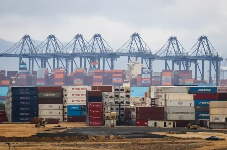 中国小猫意外被运到美国，在集装箱中无食无水坚强存活3周！美国人给它取名为“小猫”