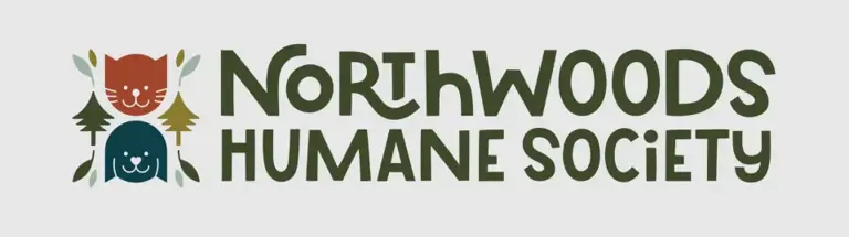 中国小猫意外被运到美国，在集装箱中无食无水坚强存活3周！美国人给它取名为“小猫”