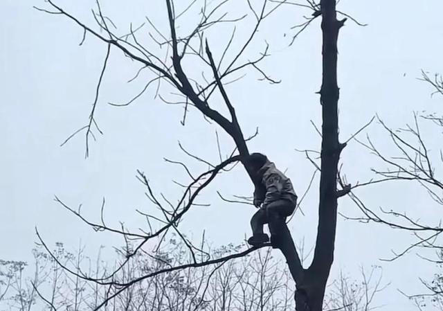 荒野求生总决赛第十天两人退赛，林北带走一块七星山的石头，文车车对妻子说“我爱你”
