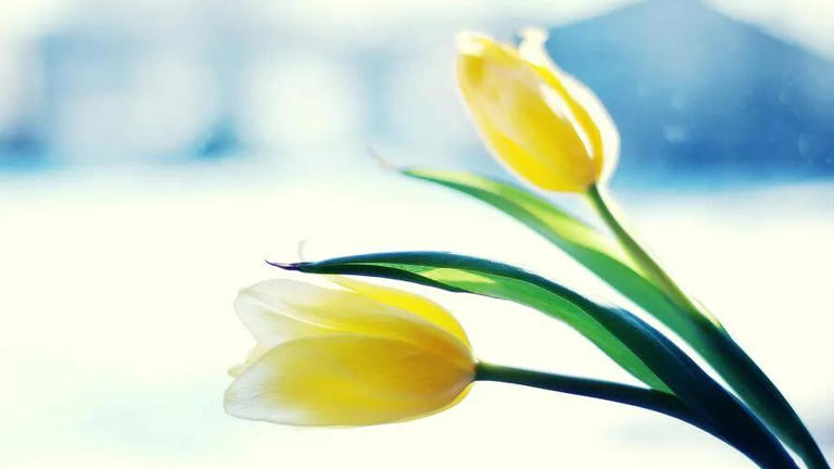 男人是真爱你，还是只想玩个爱情“快闪”？就看这三方面