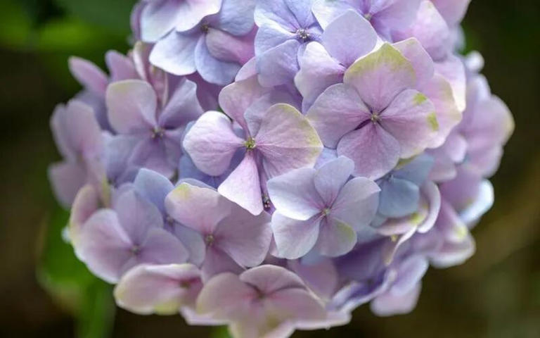 告诉女儿：相亲时，遇到这3种优质男，赶紧逃离别犹豫