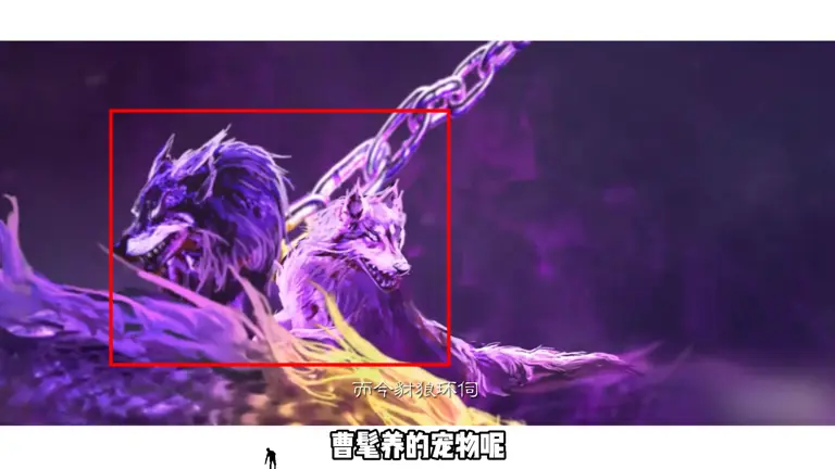 【阿雕说】曹髦走出无皮村?双形态动皮来了!